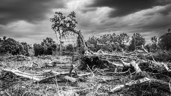cambio climático
