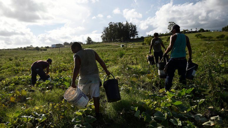 ¿Por qué el gobierno no protege a los más débiles del campo?