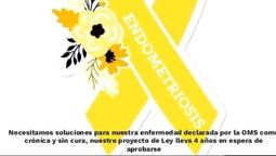 altText(Endometriosis: se movilizan para reconocerla legalmente)}