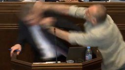 altText(Diputados a las piñas en el Parlamento de Georgia)}