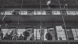 altText(Amnistía Internacional ve como dramática la situación penitenciaria en Uruguay)}