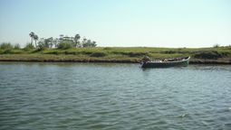 altText(Organizaciones en Treinta y Tres se movilizan por el agua y en contra de la forestación)}