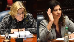 altText(Bianchi arremetió contra Blanca Rodríguez y hubo cruce en el Senado)}