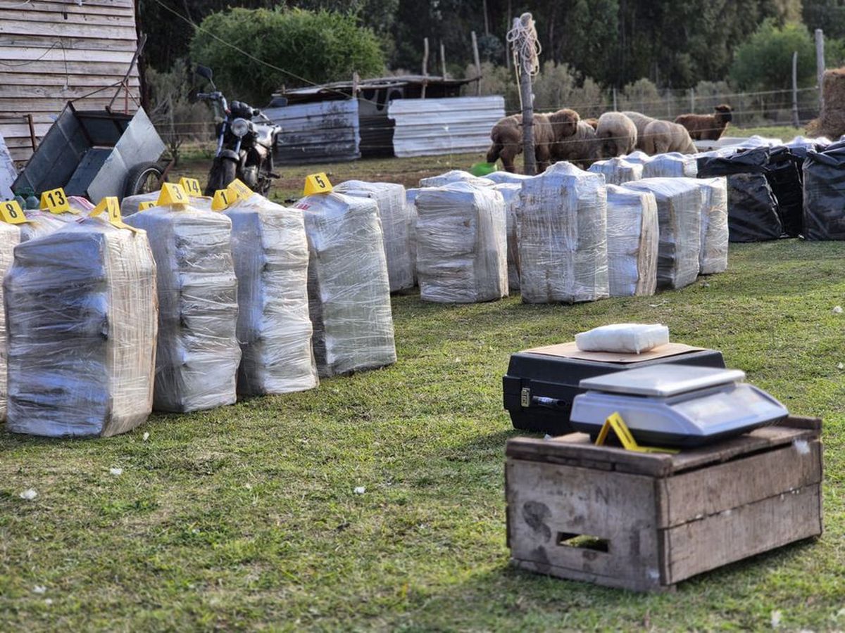 La droga incautada en Punta Espinillo.