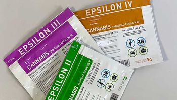 Récord: en 2025 se vendieron 4,3 toneladas de marihuana legal, una más que en años anteriores