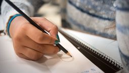 altText(Marco Curricular Nacional diluye los contenidos)}