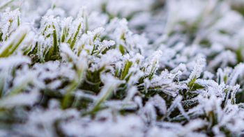 Alerta por frío polar en Uruguay según MetSul