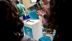 altText(Este domingo se eligen los Concejos Vecinales)}