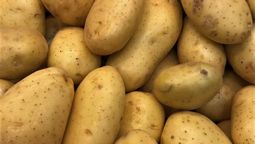 altText(En un hecho inédito, productores importan papa de Brasil)}