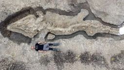 altText(Descubren los restos del animal más grande de la historia)}
