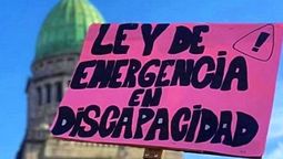 Gobierno de Milei no cumplirá con la Ley de Emergencia en Discapacidad