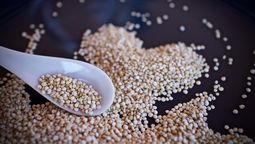 altText(La quinoa, una estrella entre los superalimentos)}