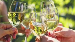 altText(10 consejos para evitar infecciones en fiestas de fin de año)}