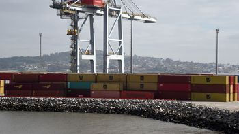 Exportaciones uruguayas crecieron 14% en marzo empujadas por la celulosa y la carne