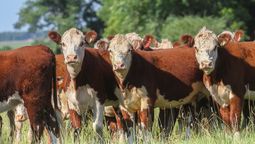 altText(La cumbia de Conexión Ganadera que suena en Punta del Este)}