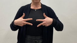 altText(Intérpretes de lengua de señas se movilizan y reclaman elección de horas)}