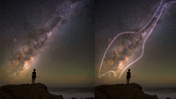 altText(Un ñandú pinta el firmamento uruguayo y recibe reconocimiento de la NASA )}