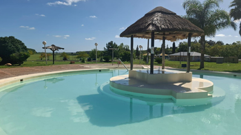 Termas de Uruguay: lo que descubrieron los científicos tras años de investigación