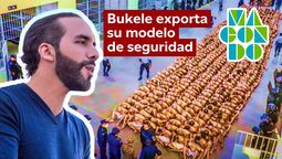 altText(Macondo, una mirada latinoamericana - Jueves 20 de Junio 2024)}