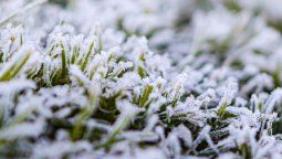 altText(Aire polar se consolida en Uruguay con temperaturas próximas a los 0 °C y fuertes vientos en la costa)}