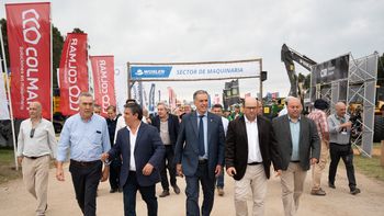Orsi destacó importancia de que se expanda área destinada a forestación