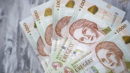 altText(Poder de compra bajó 1,2% en el segundo trimestre)}