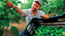 altText(BSE: por exceso de precipitaciones centenares de denuncias están siendo evaluadas)}