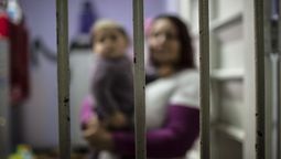 altText(FA presentará proyecto con medidas alternativas a la cárcel para madres)}