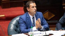 altText(¿Por qué Sebastián Da Silva pateó el tablero oficialista?)}