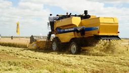 altText(La cosecha de arroz alcanzó un rendimiento récord)}