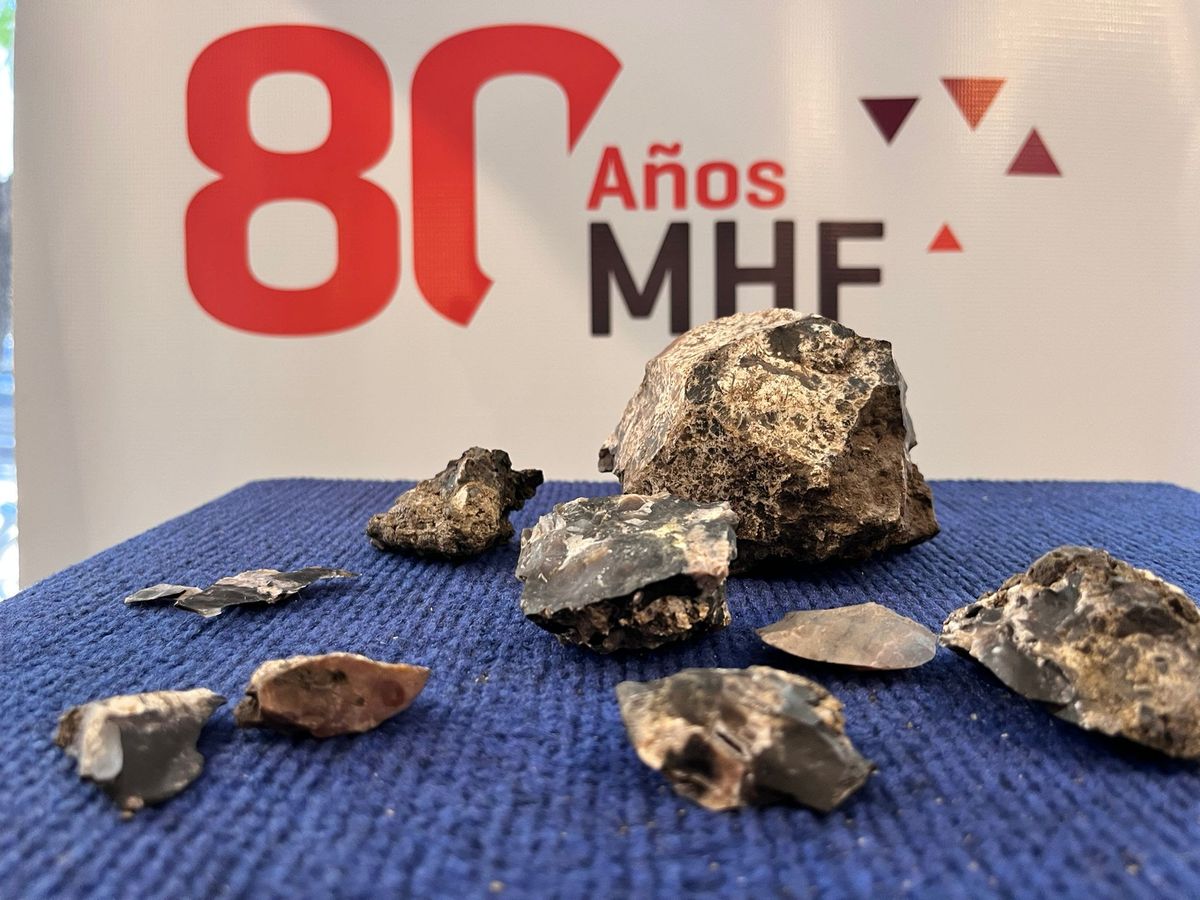 Piedras talladas descubiertas en Goñi