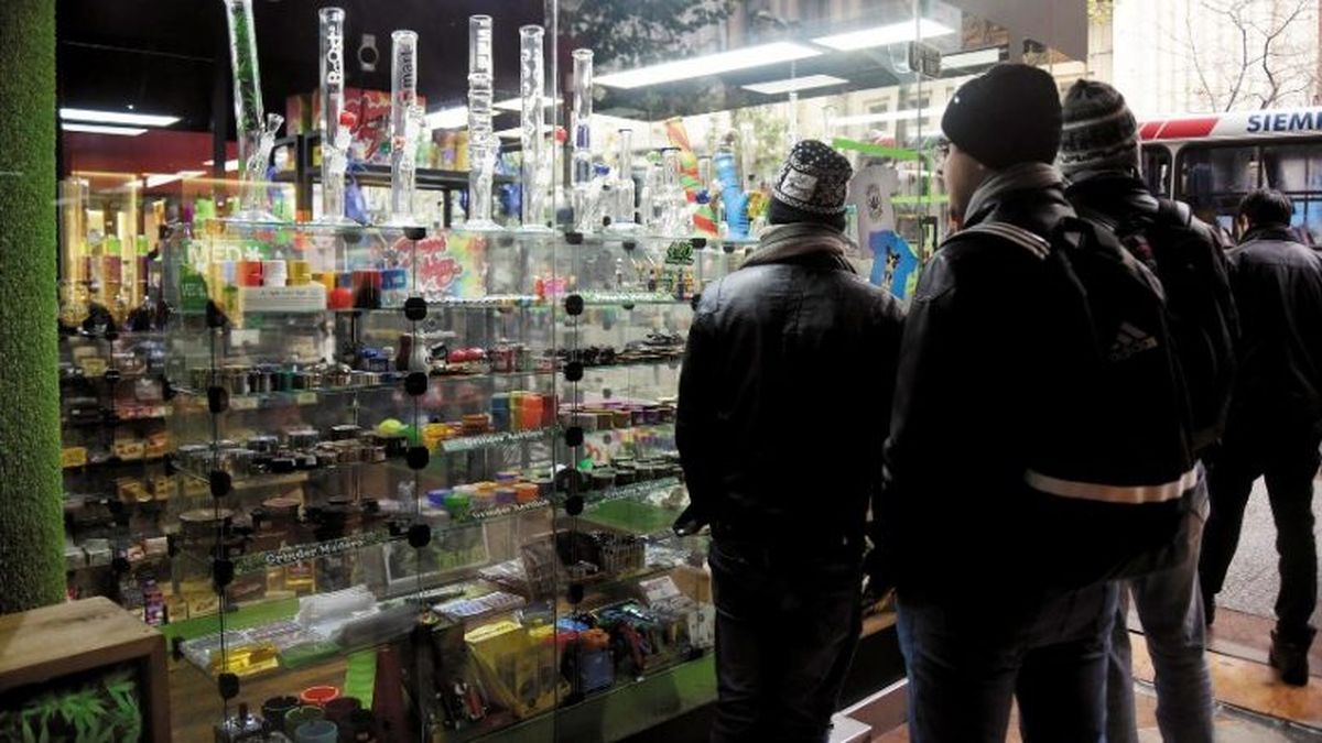 Sin flores vengo: La venta de marihuana en Uruguay