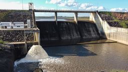 altText(Emergencia hídrica: siguen aumentando el cloruro y sodio )}