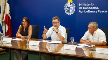 MGAP analizará déficit hídrico antes de declarar emergencia agropecuaria