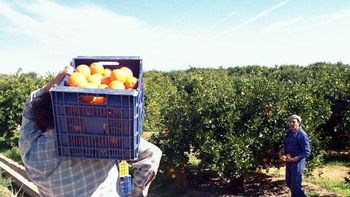 Denuncian explotación de trabajadores argentinos en Salto.