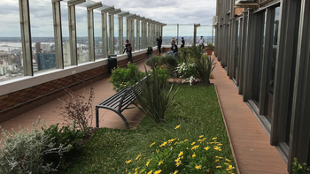 Un joven de 20 años murió tras caer desde el mirador de la Intendencia de Montevideo