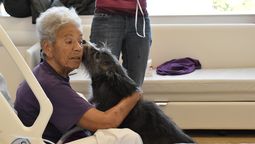 altText(Casmu autorizó la visita de mascotas a personas internadas)}