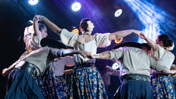 altText(Se viene el cierre de las criollas con una destacada grilla de artistas)}