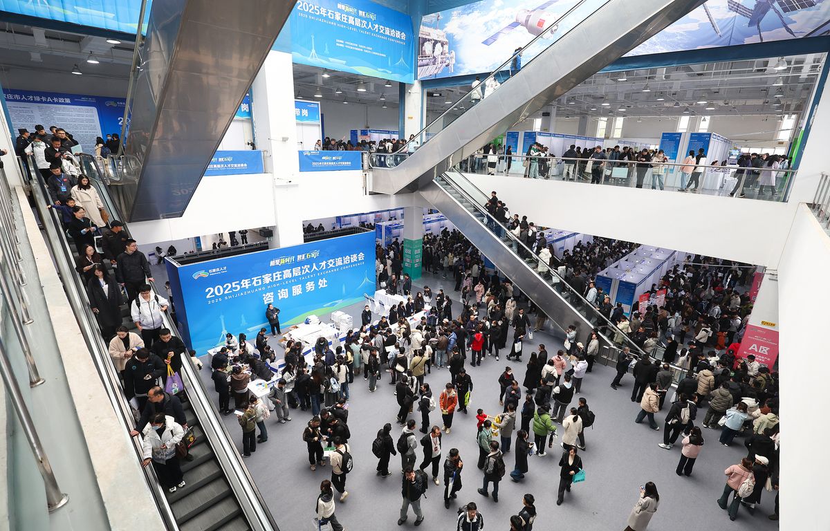 Profesionales intercambian contactos en la Conferencia de Intercambio de Talento de Alto Nivel en Shijiazhuang, provincia de Hebei, el 8 de noviembre de 2025. /VCG