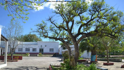 altText(Hallan sin vida a un hombre en una escuela de Durazno)}