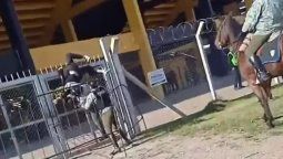 altText(Muerte de Nacho Suárez: nueva fiscal perició el Campeón del Siglo e investiga presunto encubrimiento)}