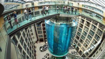 Estalló acuario de peces exóticos en Berlín y hubo heridos