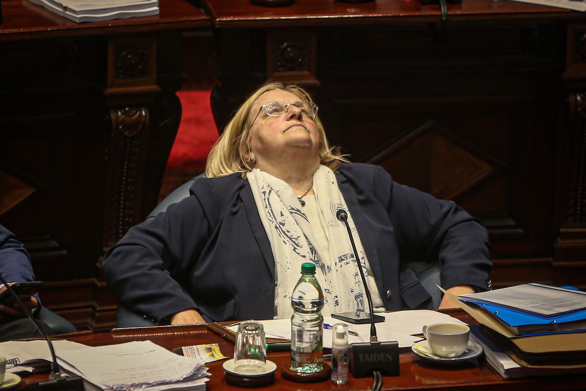 Graciela Bianchi en el Senado