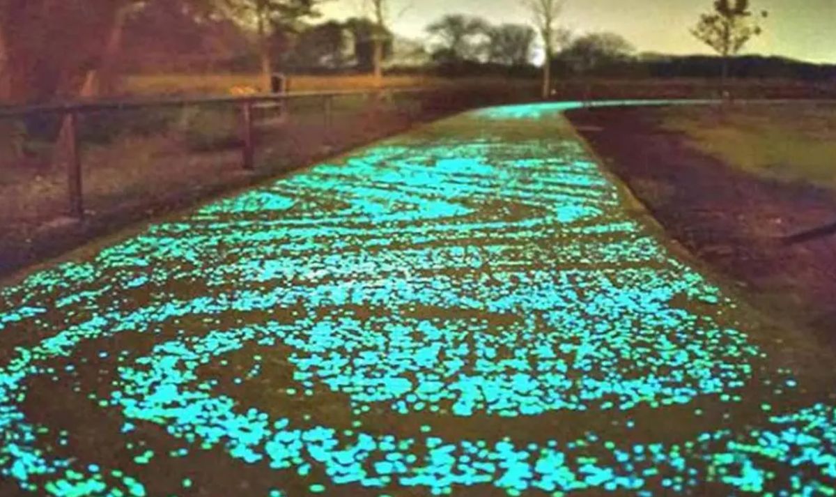 Ciudades con las ciclovías más espectaculares del mundo