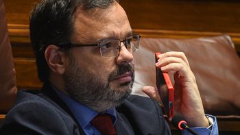 Schipani quiere saber si un legislador que manda a su hijo a la escuela pública viola la Constitución