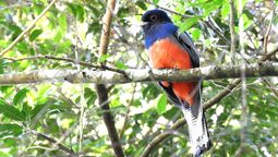 altText(El Ministerio de Ambiente aprobó las tres primeras reservas privadas del país)}