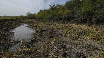 MGAP alertó que no hay agua suficiente para cultivos arroceros