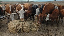 altText(MGAP decide este martes si declara emergencia agropecuaria por sequía)}