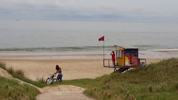 Advierten por cianobacterias en playas de Montevideo y Canelones.