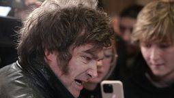 altText(Piantao, piantao)}